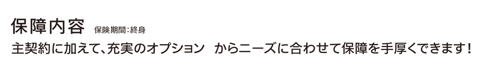 保証内容